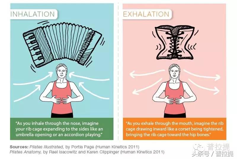 普拉提呼吸方法和技巧,普拉提呼吸和腹式呼吸的区别