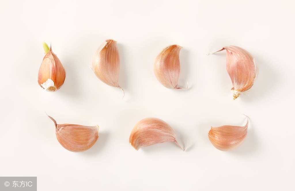 鸡黄白痢什么药效果最好,治鸡白痢中草药有哪些