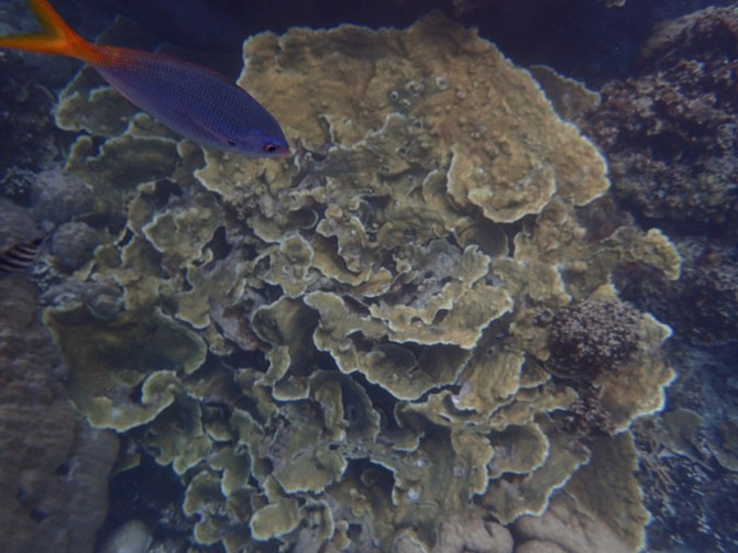 闺蜜一起游东湖公园,跟闺蜜一起去观光大海