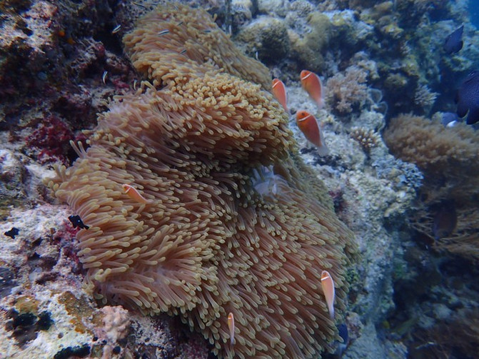 和闺蜜一起去水上世界,闺蜜一起游东湖公园