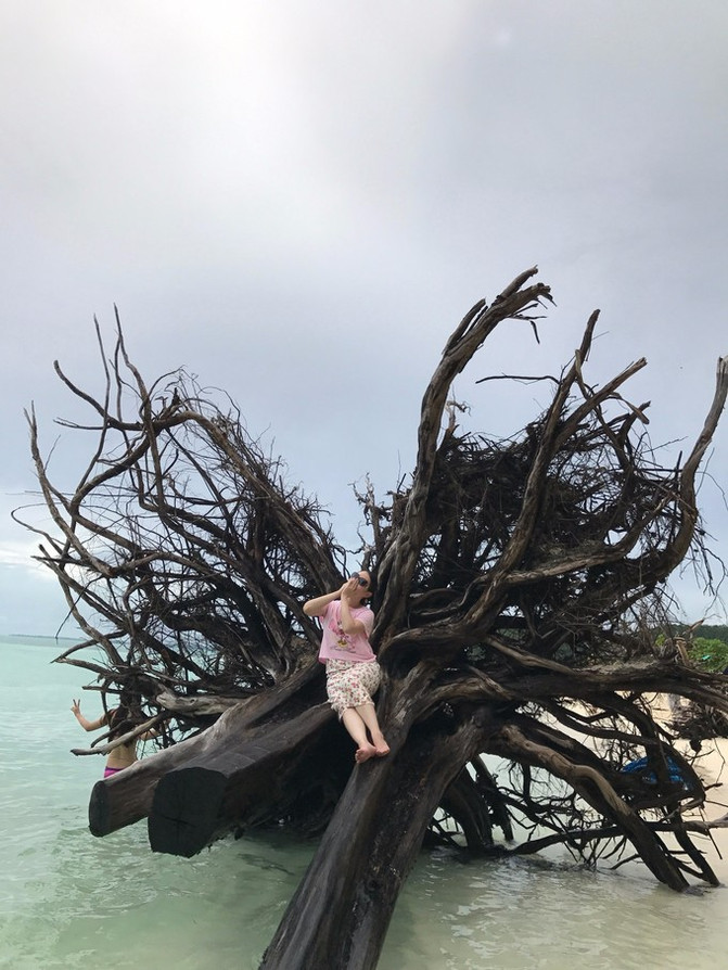 太平洋有名的海岛,太平洋岛国帕劳地理位置