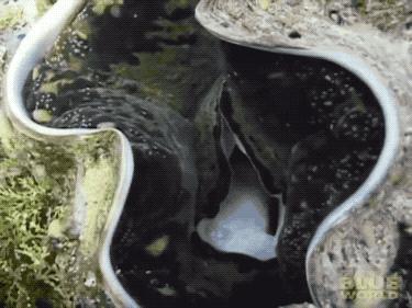 一不小心日了“蛤”，“蛤”很舒服