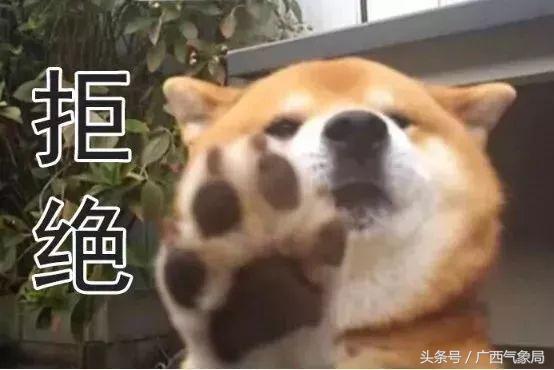 桂北将迎暴雨天气预报视频,桂北有强降雨和强对流天气