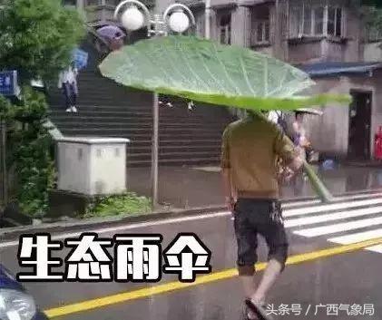 桂北将迎暴雨天气预报视频,桂北有强降雨和强对流天气