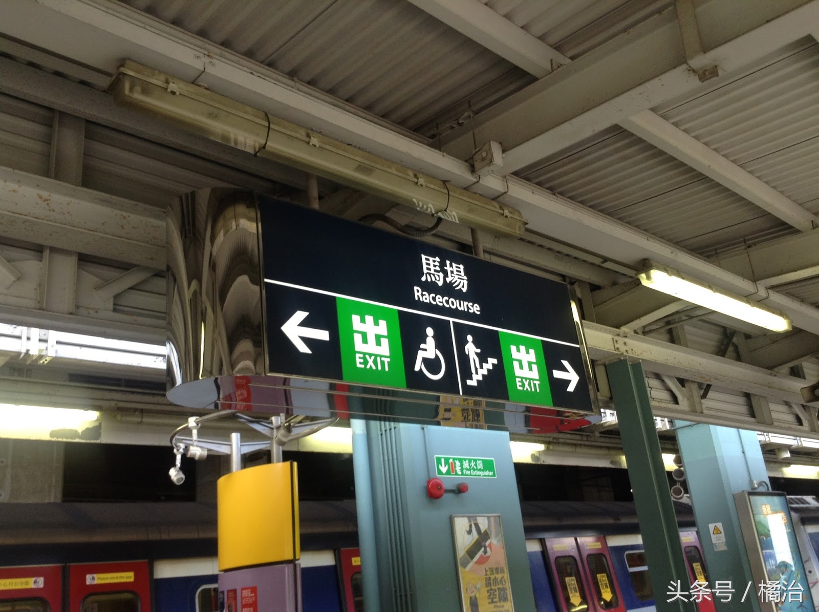 去香港赛马场，买张马票看马儿热血冲刺，超酷！（内含详细攻略）