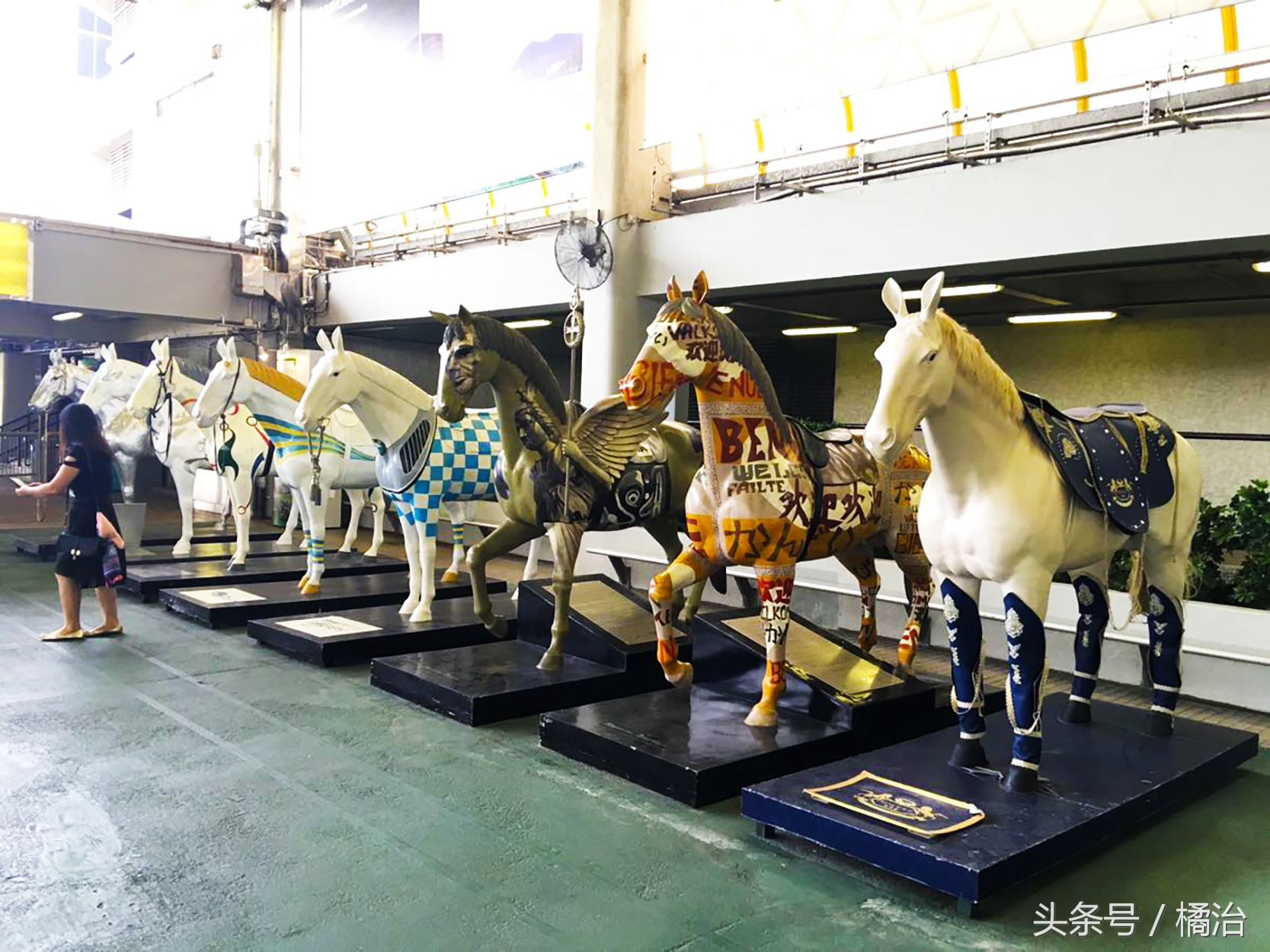 去香港赛马场，买张马票看马儿热血冲刺，超酷！（内含详细攻略）