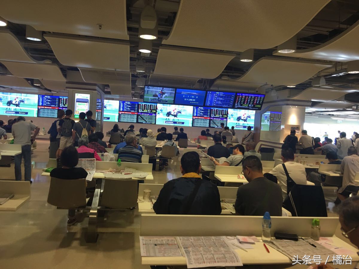 去香港赛马场，买张马票看马儿热血冲刺，超酷！（内含详细攻略）