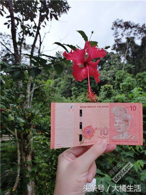 悠哉的沙巴行空气清新重要的是接机仅需1元