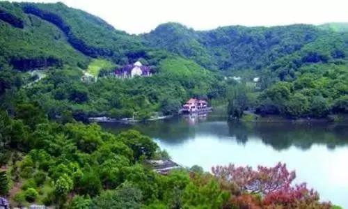 深圳仙湖植物园清明踏青赏花,深圳2022清明能去旅游吗