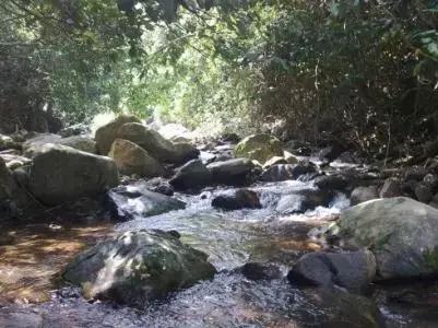 深圳仙湖植物园清明踏青赏花,深圳2022清明能去旅游吗