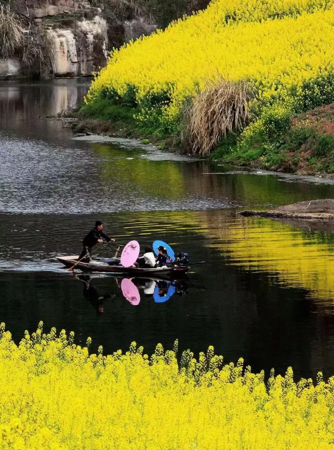 再上5天班，就放小长假！四川哪里*光春**诱人？靠谱实测甩给你