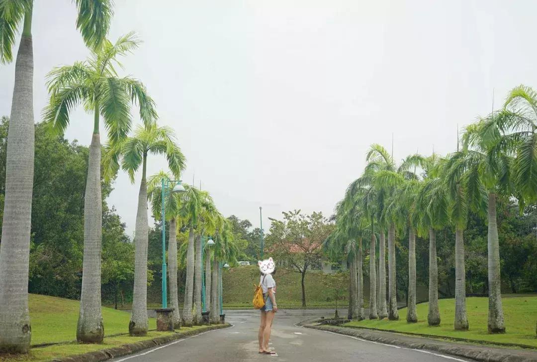 仙本那和印度尼西亚潜水哪个更好,仙本那彩湖潜水度假村多少钱一天