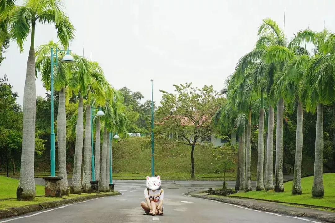 仙本那和印度尼西亚潜水哪个更好,仙本那彩湖潜水度假村多少钱一天