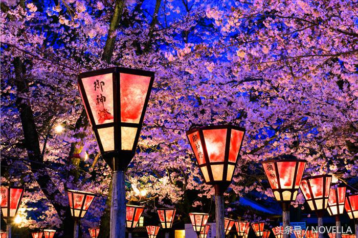 避开了人山人海的景点,避开人山人海去看星辰大海