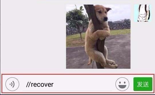 侦查微信聊天记录真的能查到吗,技术侦查可以查微信聊天记录多久