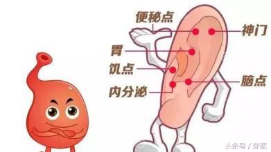 按耳朵的部位就能减肥,经常摸小耳朵会有什么功效