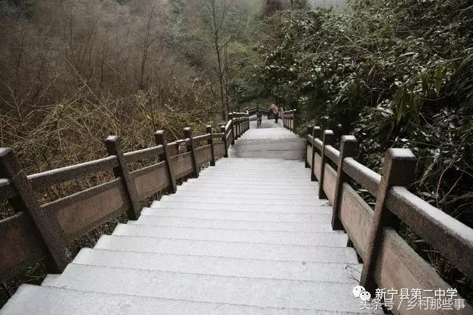 崀山鲸鱼闹海视频,不见鲸鱼的全部小说