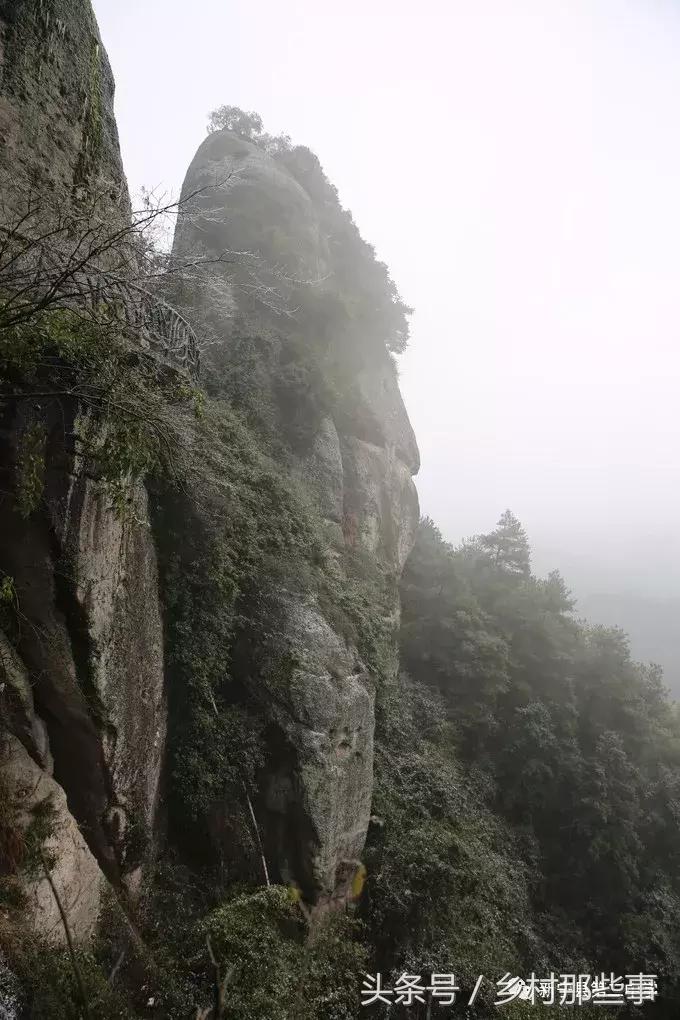 崀山鲸鱼闹海视频,不见鲸鱼的全部小说