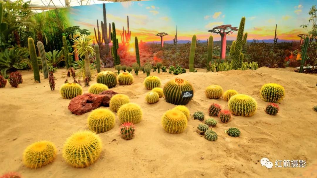 农业嘉年华北京,北京农业嘉年华延期