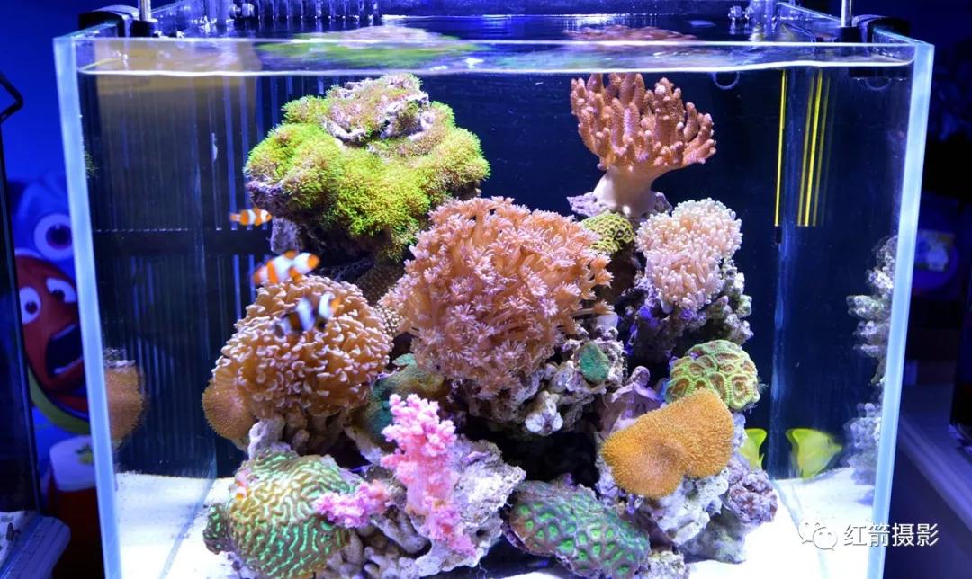 农业嘉年华北京,北京农业嘉年华延期