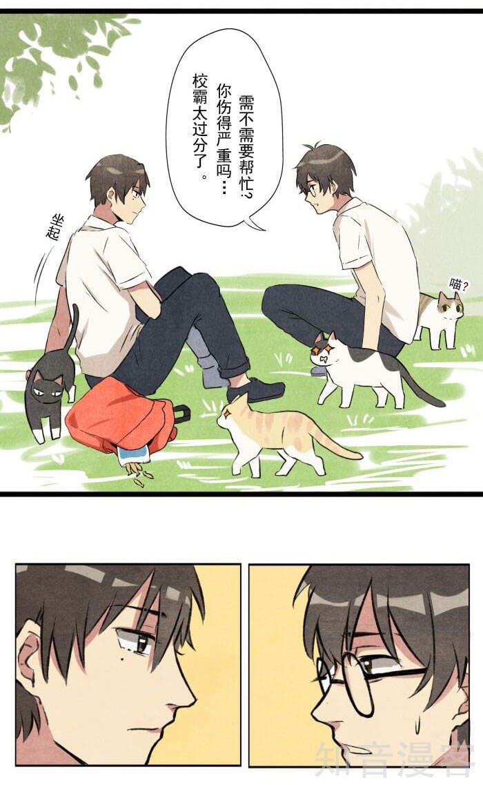 猫和铲屎官的日常生活漫画,猫和铲屎官的日常漫画