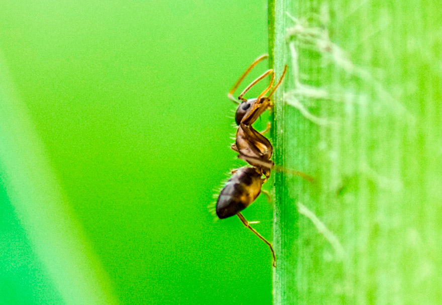 单反定焦和变焦对比,单反相机怎么选性价比高的