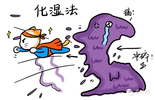 中医湿邪重怎么除,中医讲的湿邪怎么祛除