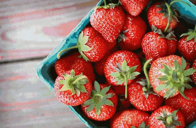 大连草莓采摘全过程,大连草莓采摘园推荐