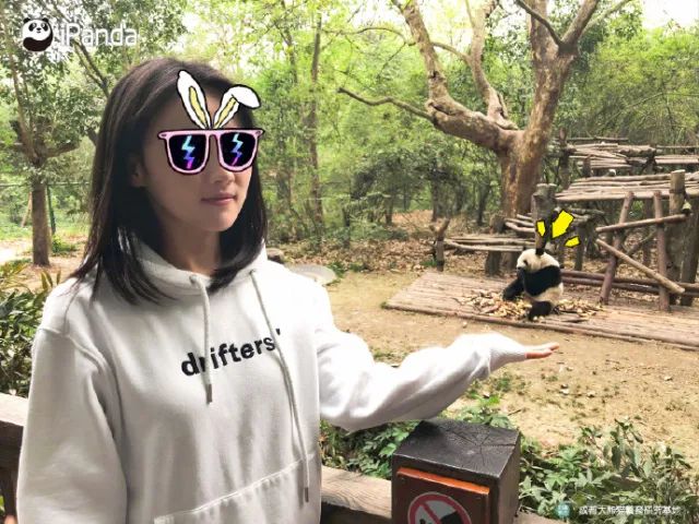 绘画中的一切都是假的,创意绘画是不是骗人的