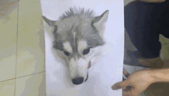 绘画中的一切都是假的,创意绘画是不是骗人的