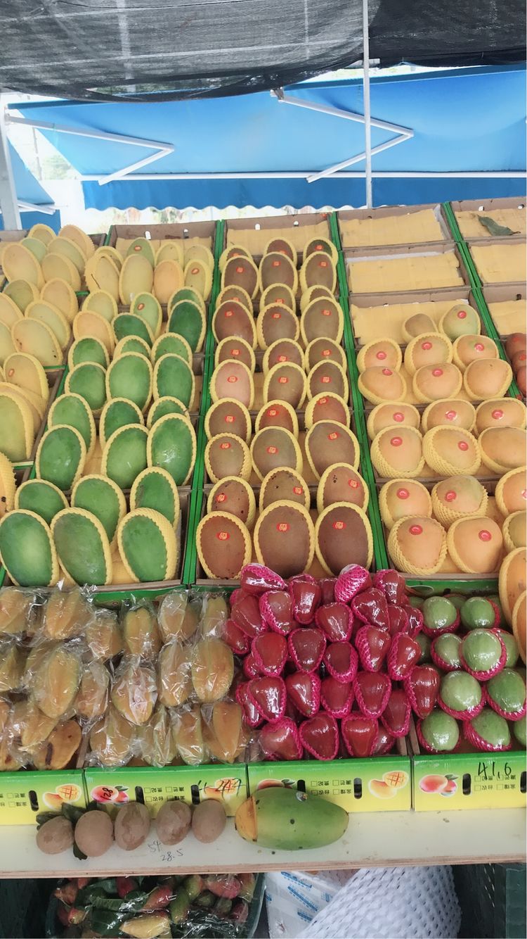 和闺蜜一起去三亚,和闺蜜一起嗨的日子