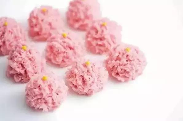 樱花美食一览表,樱花诱人的美食