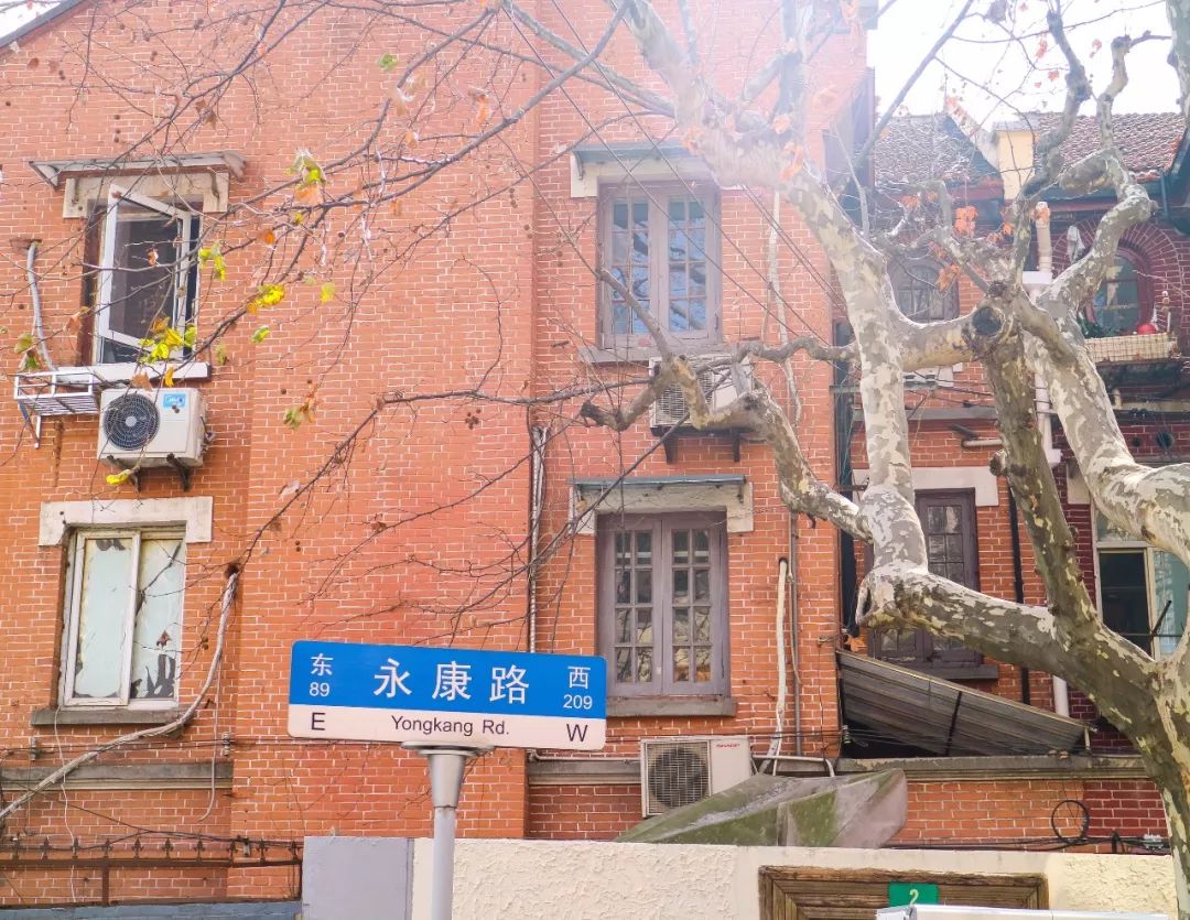 我们斗胆给上海10大网红马路排了个名！第一名竟是……