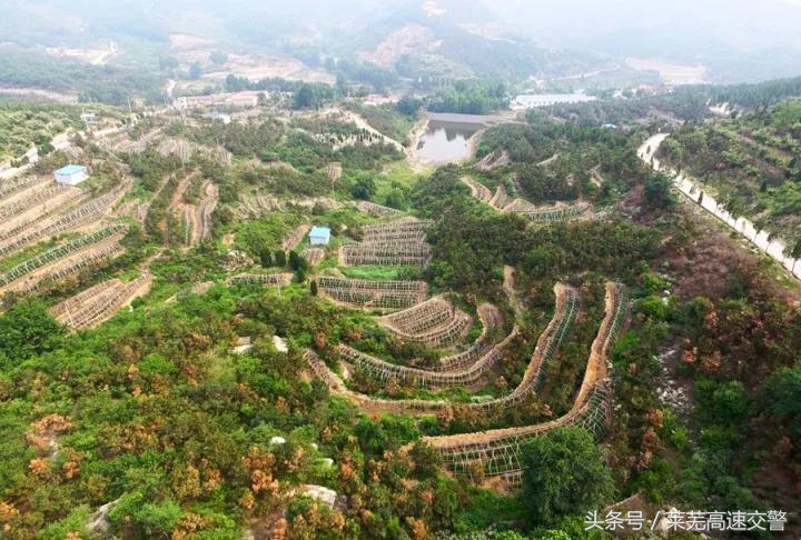 清明游莱芜莲花山,莱芜旅游十大必去景点
