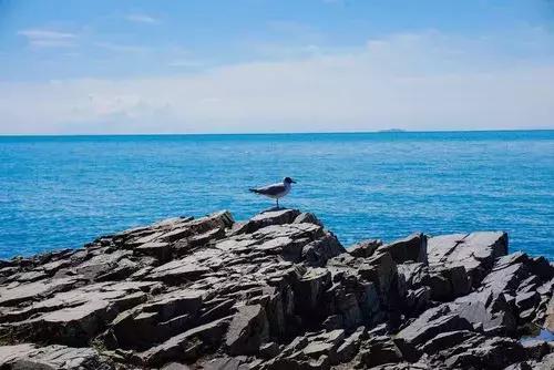 天津去哪个城市免门票,天津景区门票免票政策