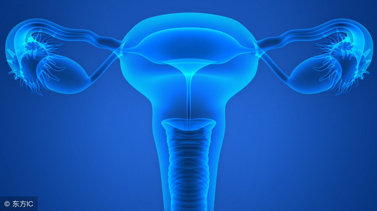 卵巢早衰ca125值升高,怀孕引起卵巢囊肿伴随ca125升高