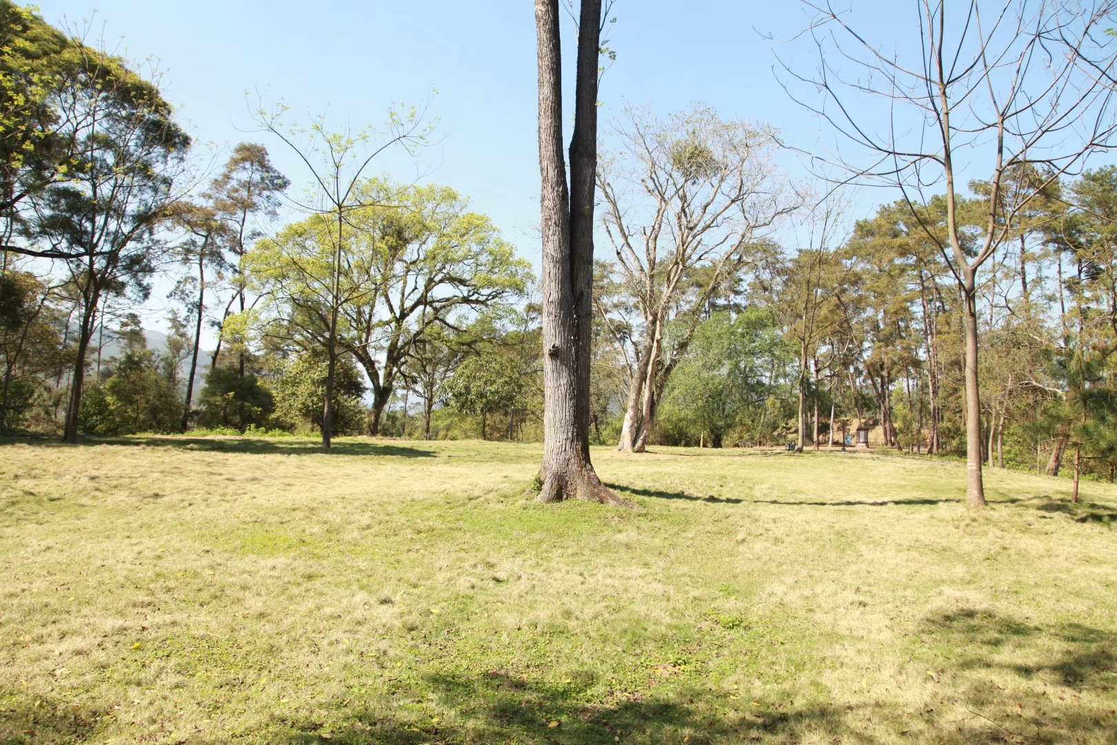 广西壮族自治区桂平西山一游,广西壮族三月三桂平西山游