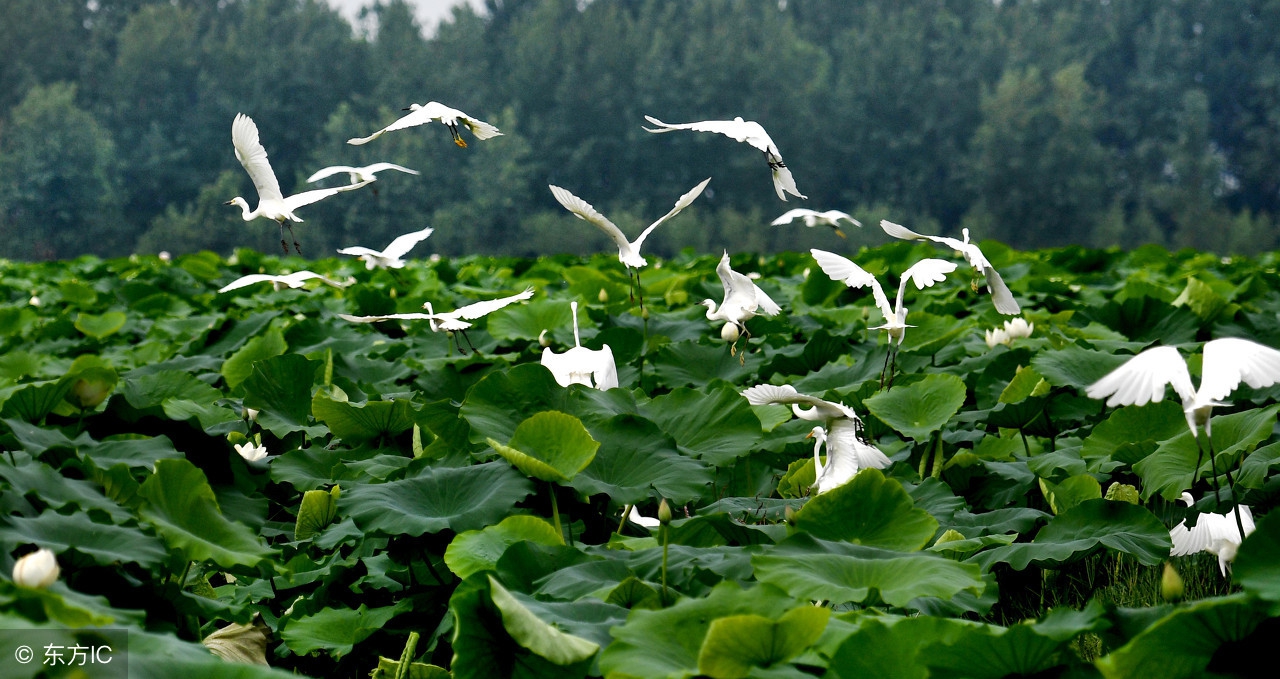 芜湖和滁州哪个适合居住,安徽合肥和芜湖哪个城市更好