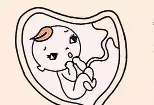 怎么修复生完孩子的肚皮松弛,生完宝宝怎么修复的快