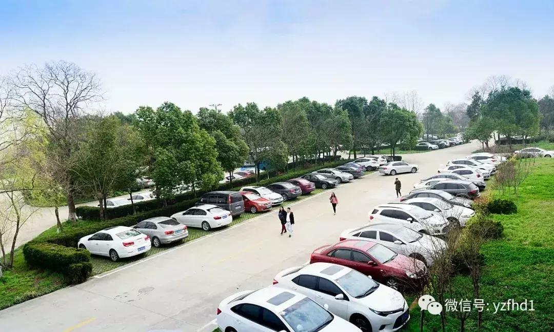 扬州中国风湿地公园,六月的扬州湿地公园