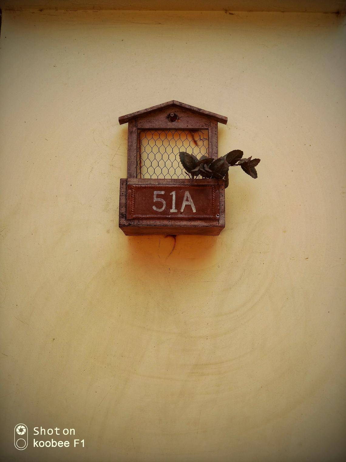 閰锋瘮koobeef1,閰锋瘮koobeef1鍚冮浮