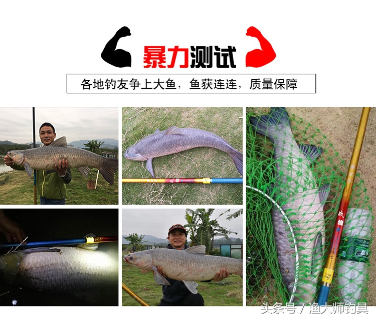 狼王钓青鱼,狼王鱼竿超轻超硬