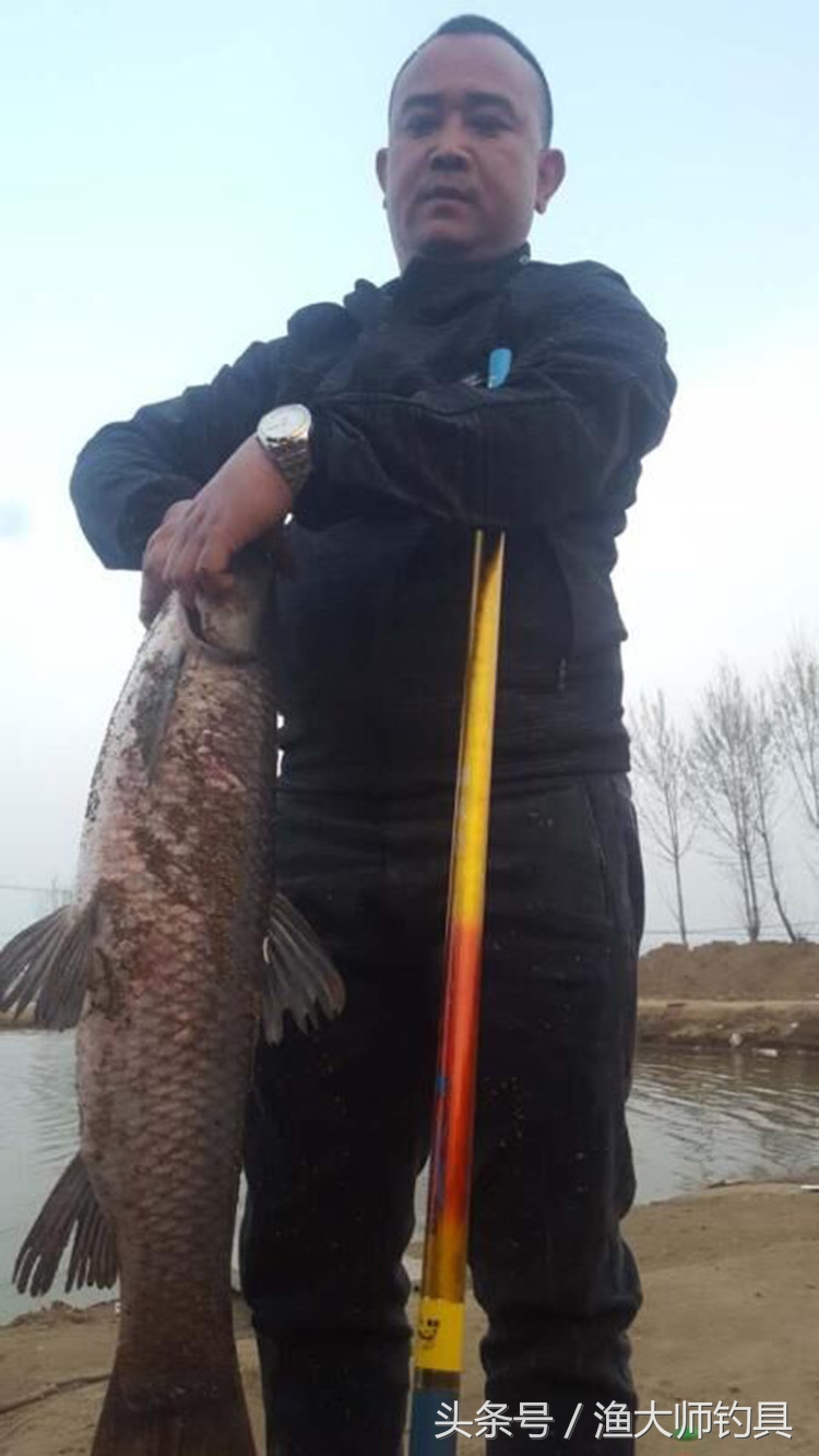 狼王钓青鱼,狼王鱼竿超轻超硬