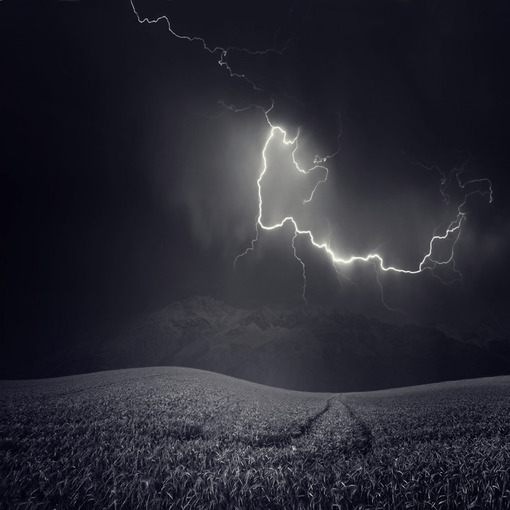 一花一世界一叶一菩提本来无一物,一花一世界一叶一菩提