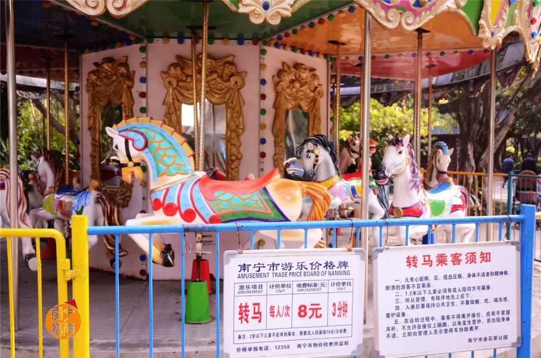 金花茶公园景点,走进金花茶公园