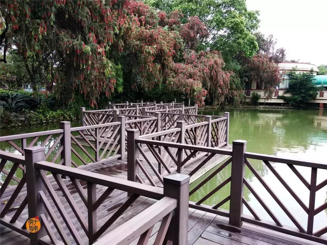 金花茶公园景点,走进金花茶公园