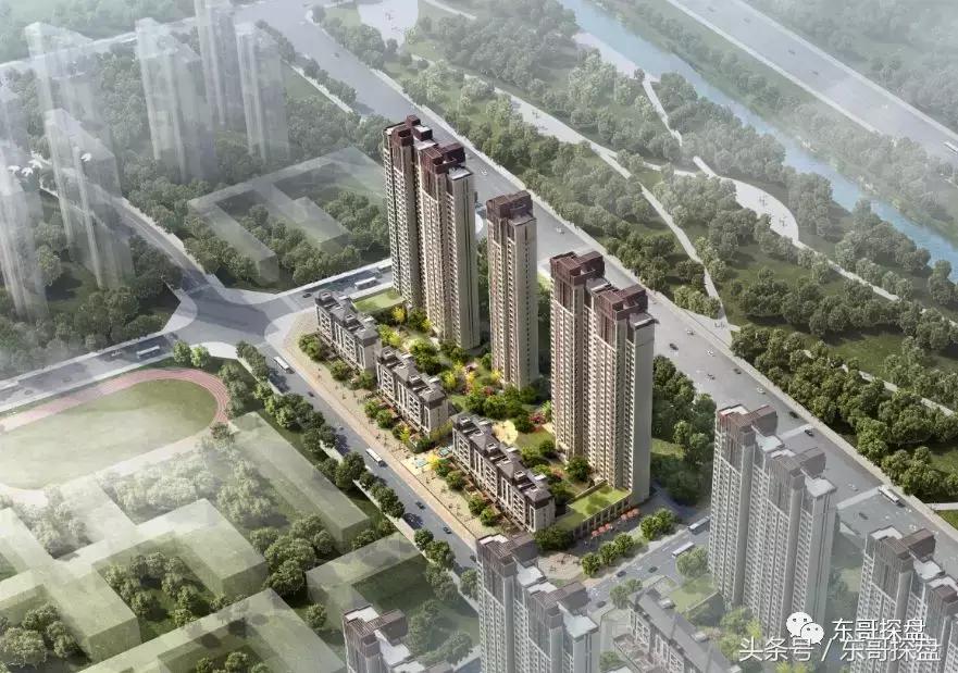 又一神盘诞生，花儿为什么这样红？