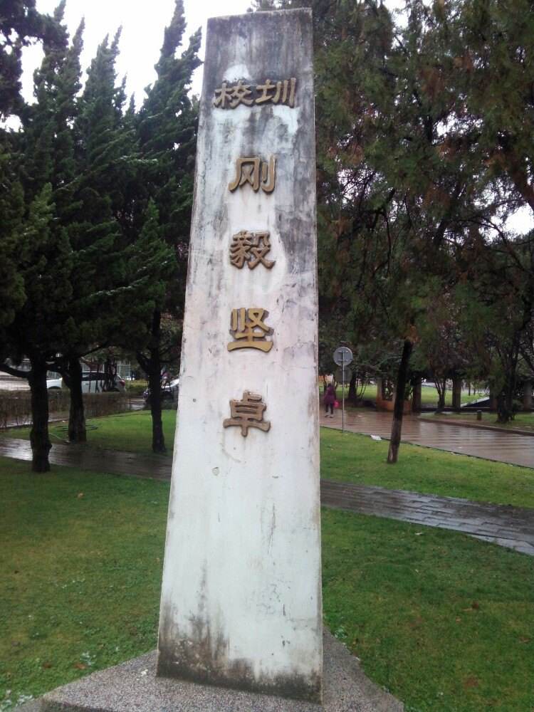 西南联大教育精神,西南联大中国文化的脊梁