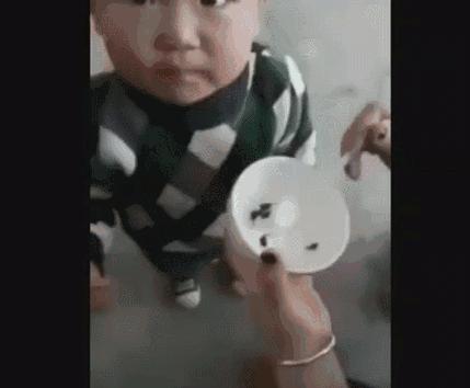 母亲信偏方喂孩子吃活蝌蚪,信偏方的后果