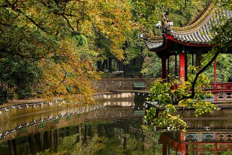 台州黄岩最新消息,台州黄岩第一大镇